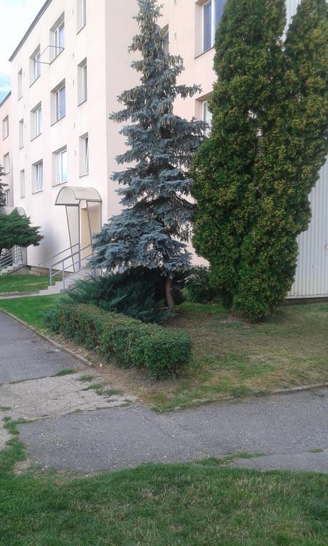 Apartment Ortenova 74 Kutná Hora Exterior foto